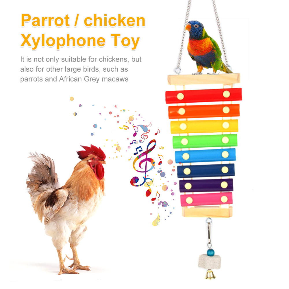 Musical Instrument Harmonium - Xilófono de pollo para pájaros, accesorios