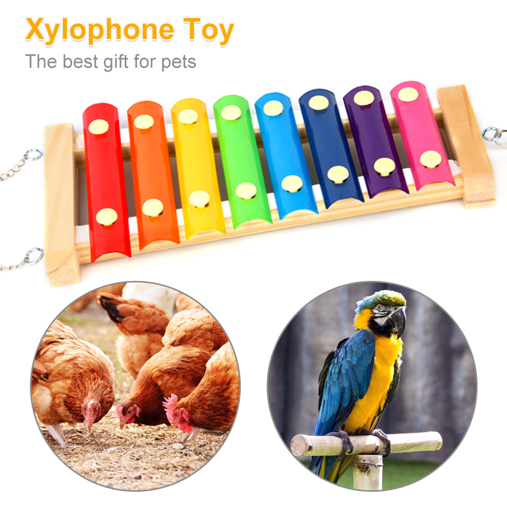 Xilófono de pollo para pájaros - Musical Instrument Harmonium reseña y precio