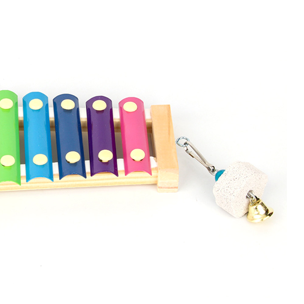 Xilófono de pollo para pájaros - Musical Instrument Harmonium reseña y precio