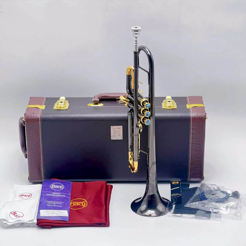 Trompeta Stradivarius 37 Anive - Musical Instrument Bugle reseña y precio