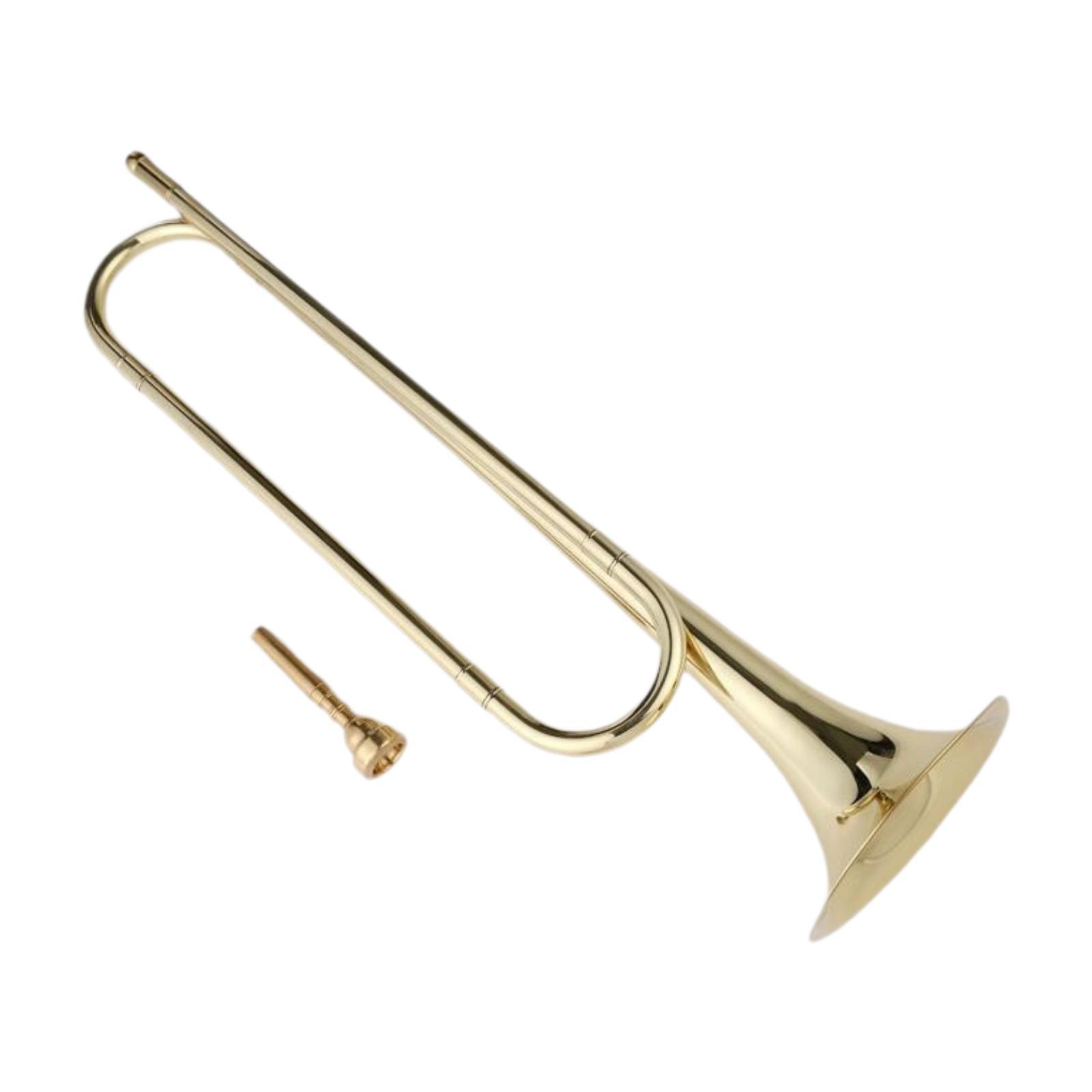 Corneta en Si Bemol, Corneta C - Musical Instrument Bugle reseña y precio